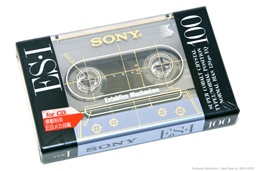 Sony ES-I 100